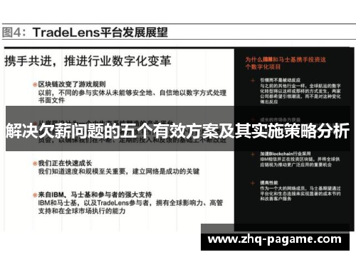 解决欠薪问题的五个有效方案及其实施策略分析