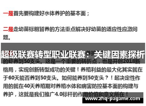 超级联赛转型职业联赛：关键因素探析