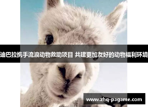 迪巴拉携手流浪动物救助项目 共建更加友好的动物福利环境