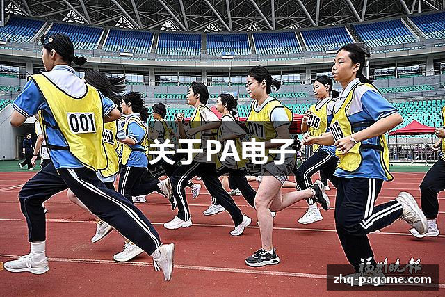 关于PA电子